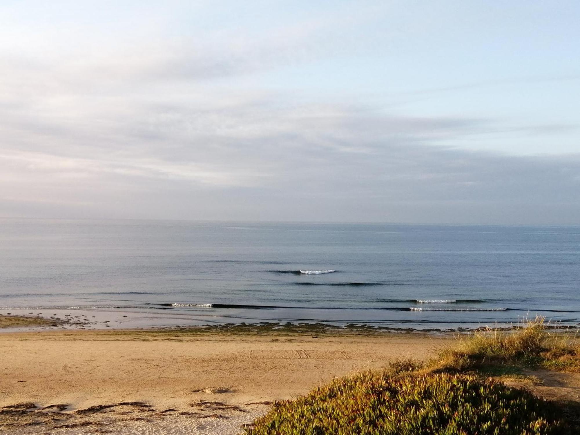 Nalu House Baleal - By The Beach ภายนอก รูปภาพ